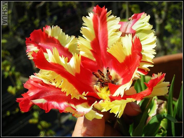 2007.4.11.�� 035_nEO_IMG.jpg