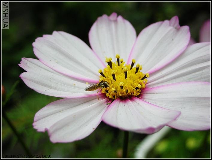 2007.5.7 022_nEO_IMG.jpg