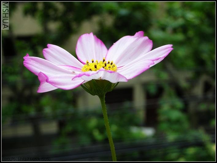 2007.5.7 015_nEO_IMG.jpg