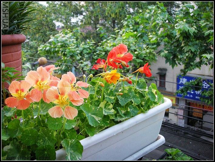 2007.5.7 047_nEO_IMG.jpg