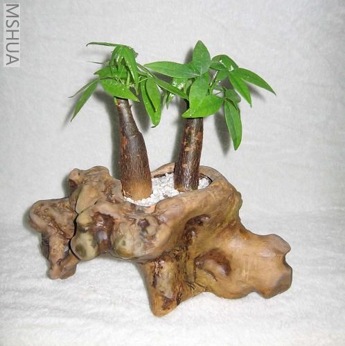 ��Ƭ070503 008_nEO_IMG.jpg