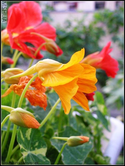 2007.5.7 031_nEO_IMG.jpg