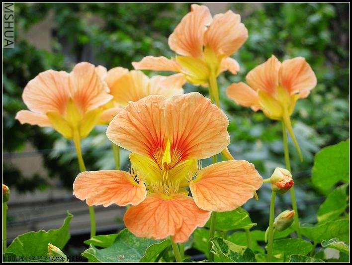 2007.5.7 014_nEO_IMG.jpg