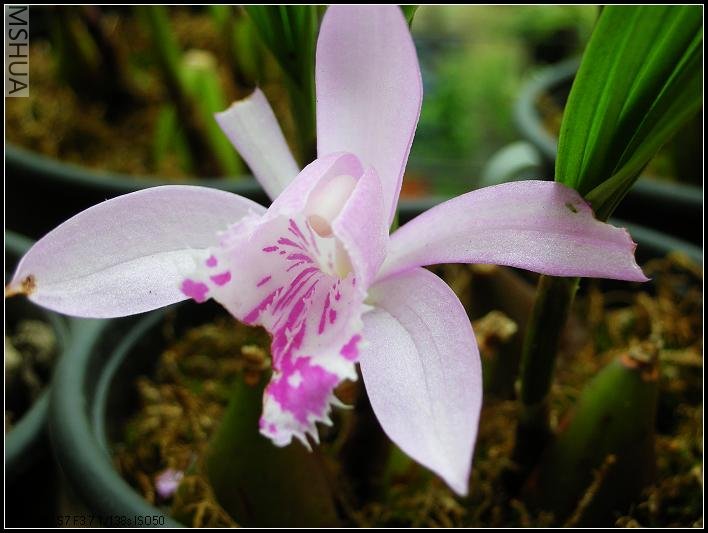 2007.5.7 018_nEO_IMG.jpg