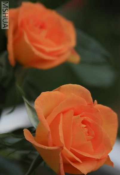 ��ȥ�����첻һ����