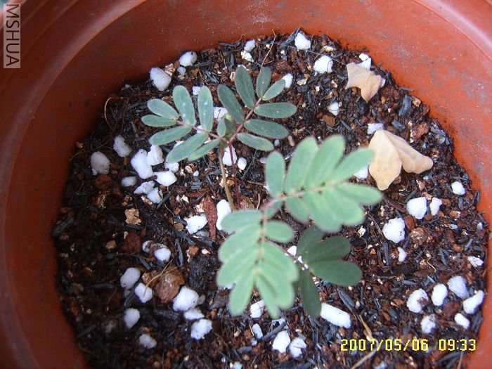 �����ϲ����С��