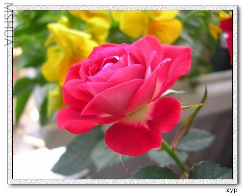 DSCN7479.jpg