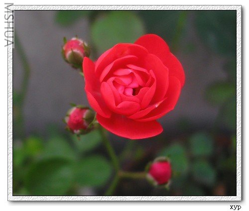 DSCN7630.jpg