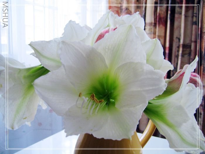 ���ز���