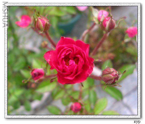 DSCN7589.jpg