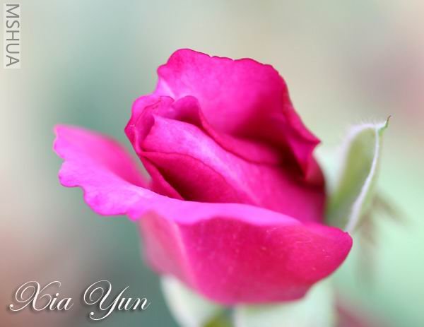 IMG_9820 ����a.jpg