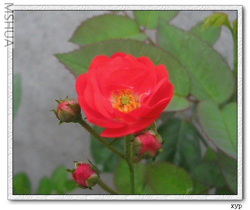 DSCN7593.jpg