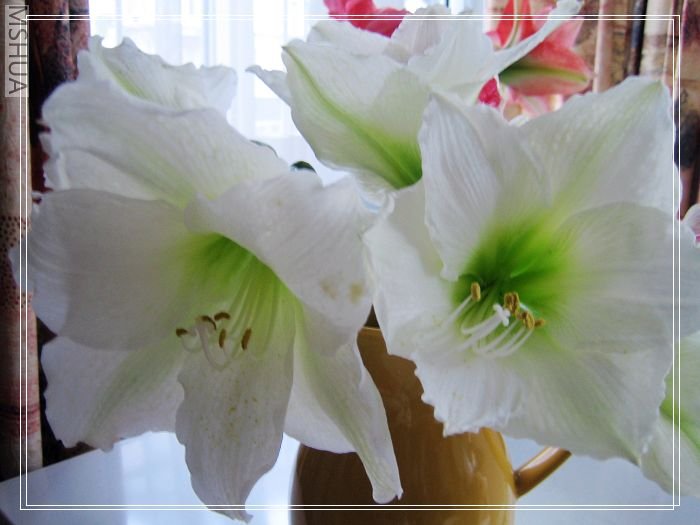 ���ز���