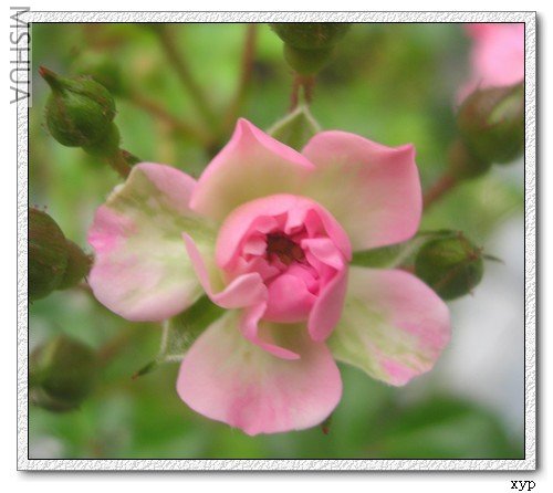 DSCN7582.jpg