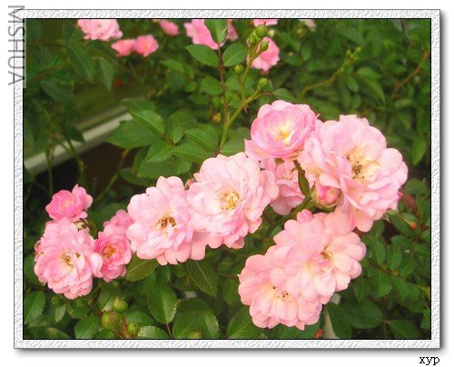 DSCN7983.jpg