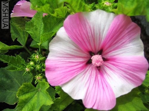 �����������ˣ���