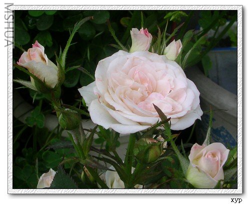 DSCN7634.jpg