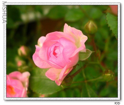 DSCN7919.jpg