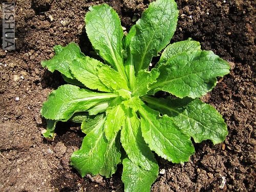 3�·ݵ�ʱ����ò�