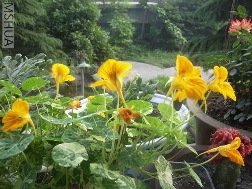 ������С RIMG0001.JPG