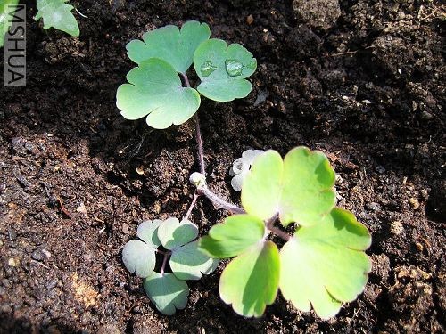 �ﲥ�Ļ� 012_nEO_IMG.jpg