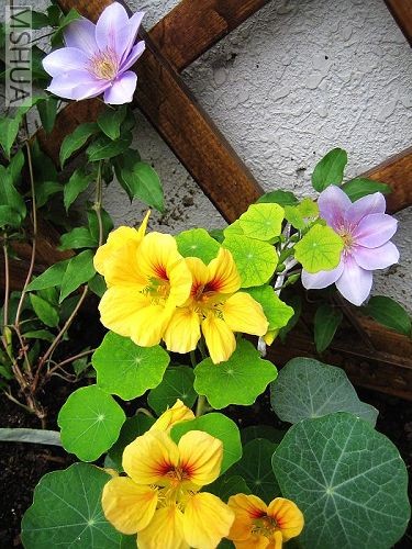 ��λ������������