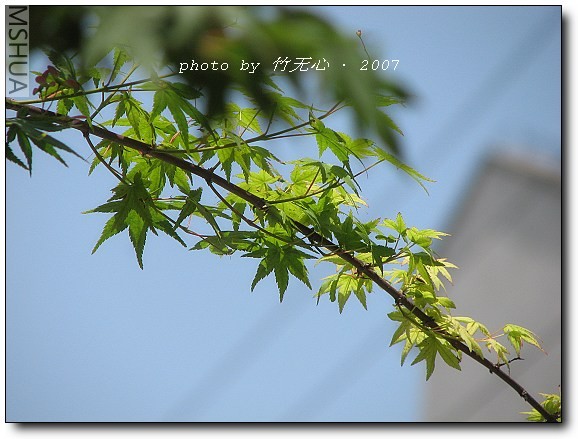 IMG_9679.jpg