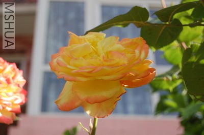 DSC_0064.JPG