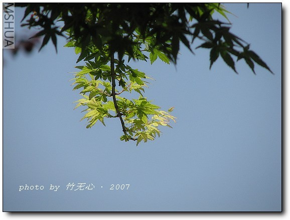 IMG_9680.jpg