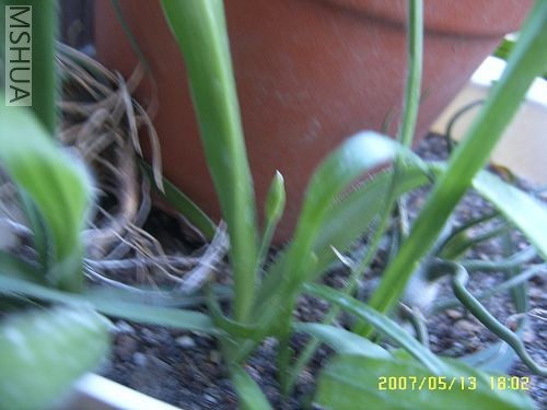 ����,�����ܿ�������Ӱ��