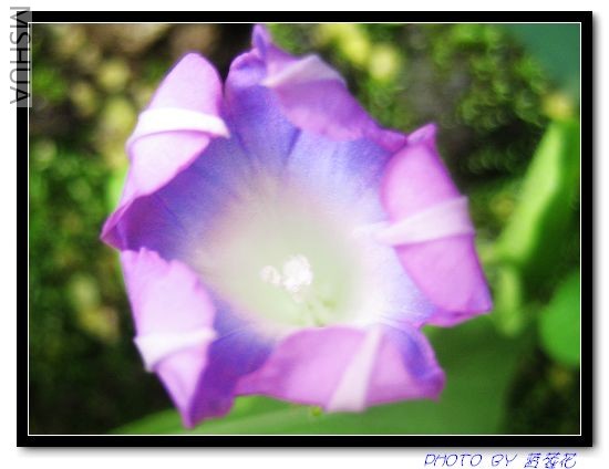 С��ţ���������Ӳ���չ��