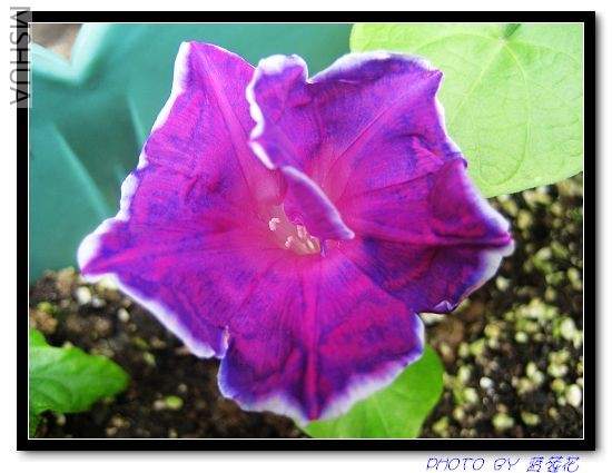 ģ���ֵֹĽ۹�ţ