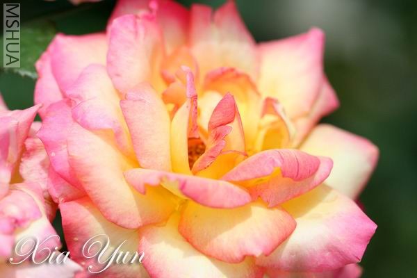 IMG_0202 ����.jpg