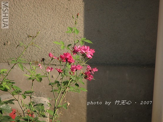 IMG_0137.jpg
