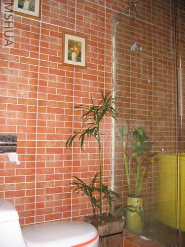 ������һ��