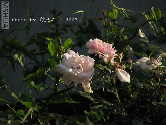 IMG_0190.jpg