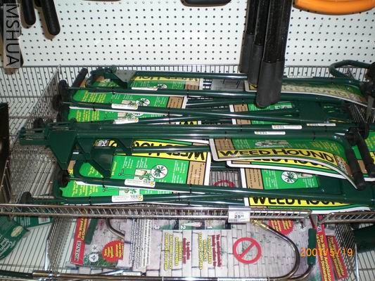 Resize of CIMG0732.JPG