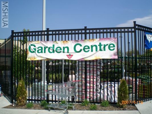 Resize of CIMG0701.JPG