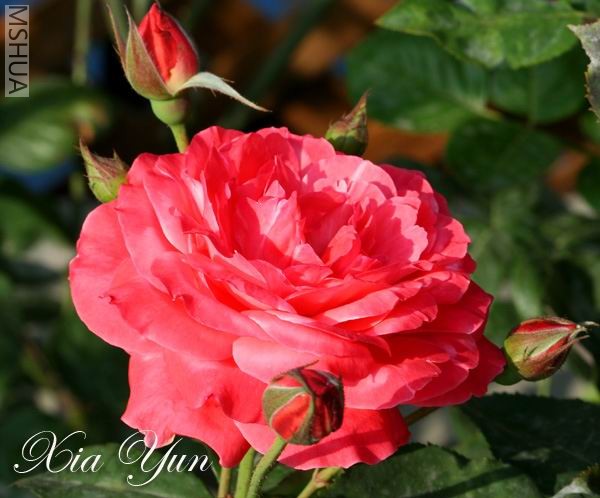 IMG_0056 ����.jpg