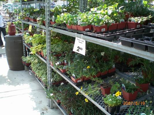 Resize of CIMG0729.JPG