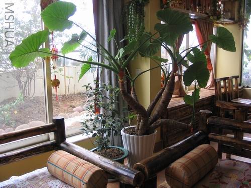 ��ˮ����