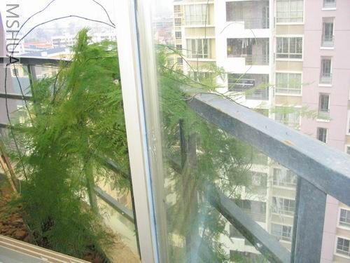 �������ٵ�����