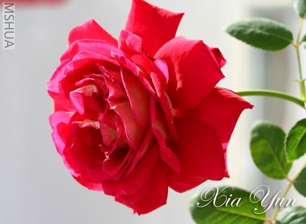 IMG_0090 ����.jpg