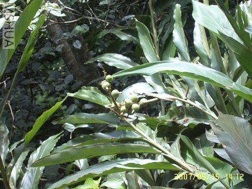 �������Ĺ�ʵ