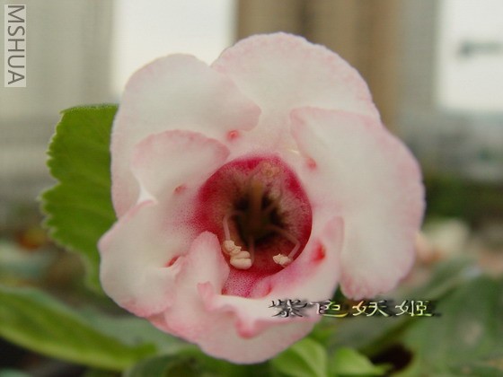 ����ͩ��30��07448-1_resize.jpg