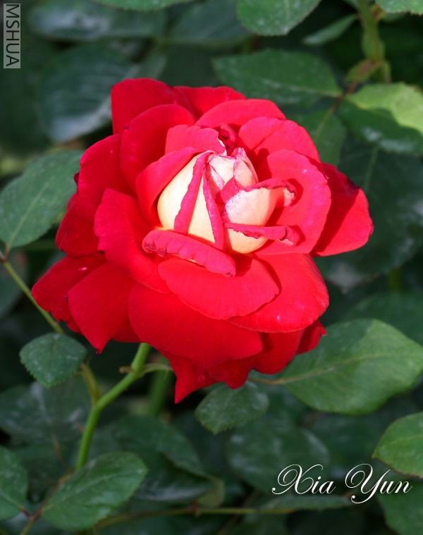 IMG_0085 ����.jpg