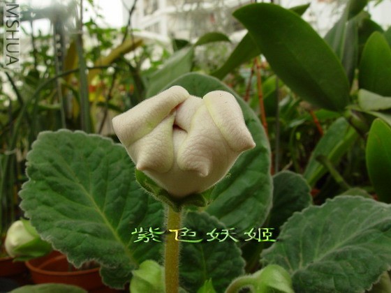 ����ͩ��12��07443-1_resize.jpg