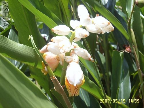 ������д