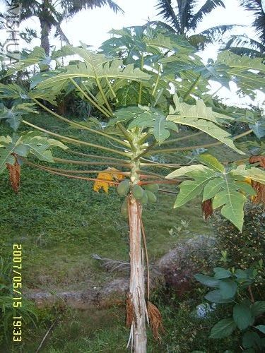 ��Ҳ��˰���,�����쵼˵������