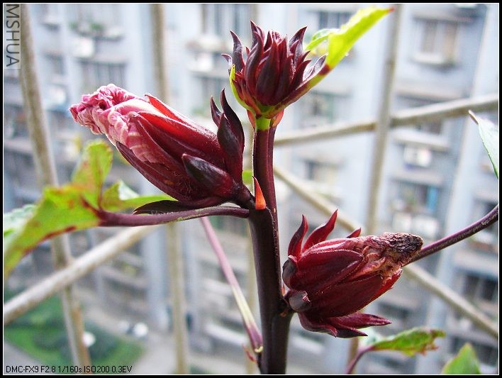 õ���� ��л֮�����ڳ�����_nEO_IMG.jpg